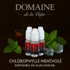 Chlorophyle Mentolée-10ML