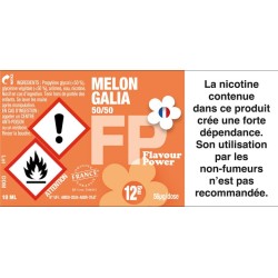 Melon Galia — vue 4