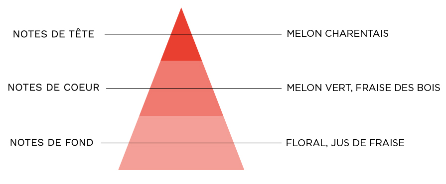 pyramide-melon-fraise.jpg