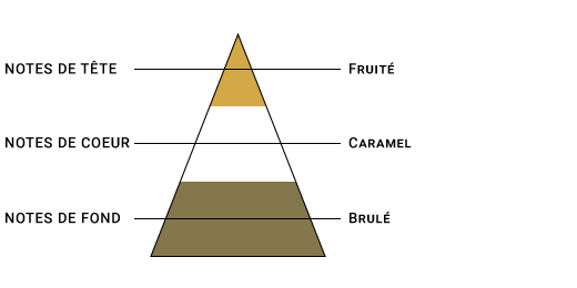 pyramide-olfactive-sense-blond-doux.jpg