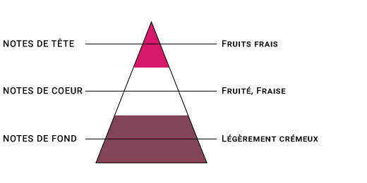 pyramide-olfactive-sense-fraise-gariguette.jpg