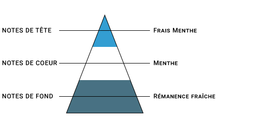 pyramide-olfactive-sense-menthe-glaciale.jpg