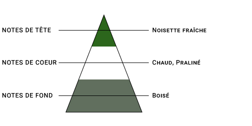 pyramide-olfactive-sense-noisette.jpg