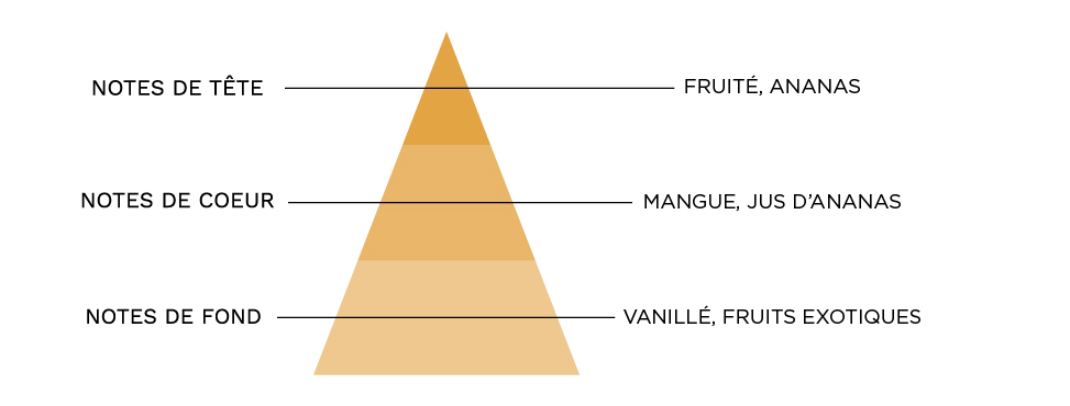 pyramide-mangue-ananas.jpg