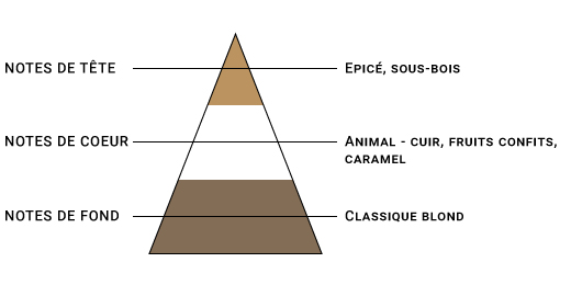 pyramide-olfactive-sense-blond-corse.jpg