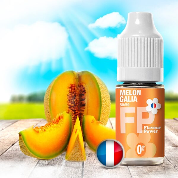 Melon Galia – Image 1