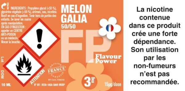 Melon Galia – Image 2