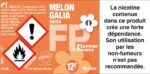 Melon Galia – Image 4