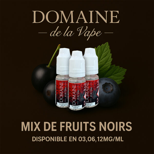 mix fruit noir 10ml visu web Mix fruits noirs — 10ml — DDLV – Image 1